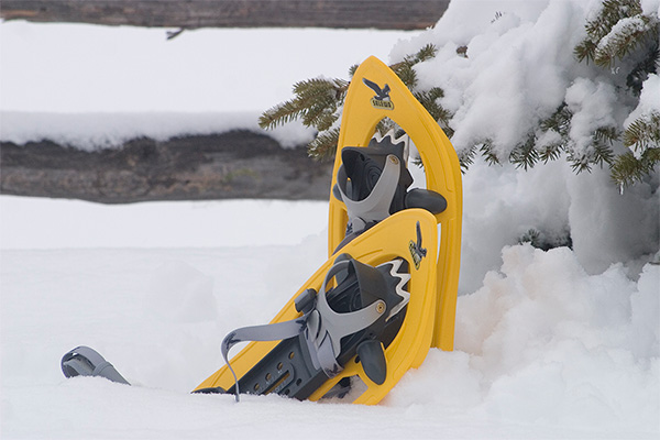 Schneeschuhwandern